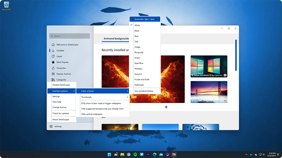 WindowBlinds 11 配置界面